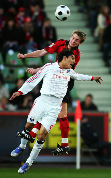 任职期间 任职期间